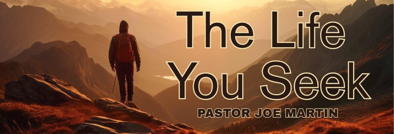 The Life You Seek